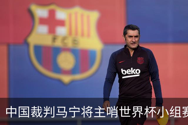 中国裁判马宁将主哨世界杯小组赛第二轮比赛